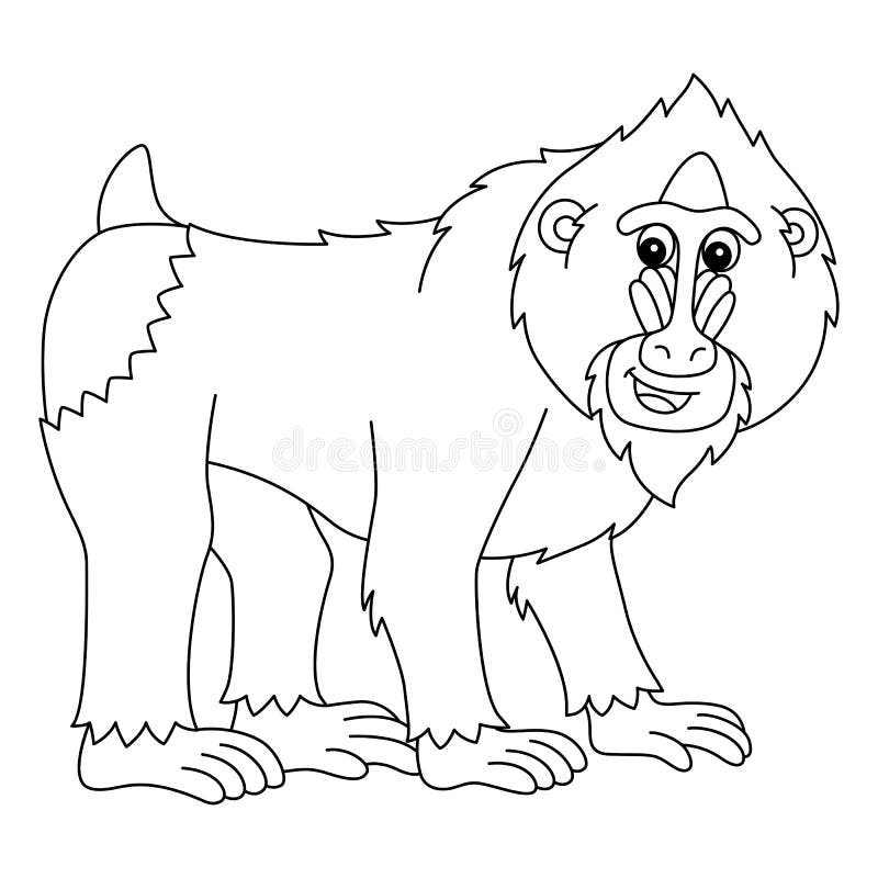Mandrill coloring stock illustrations â mandrill coloring stock illustrations vectors clipart