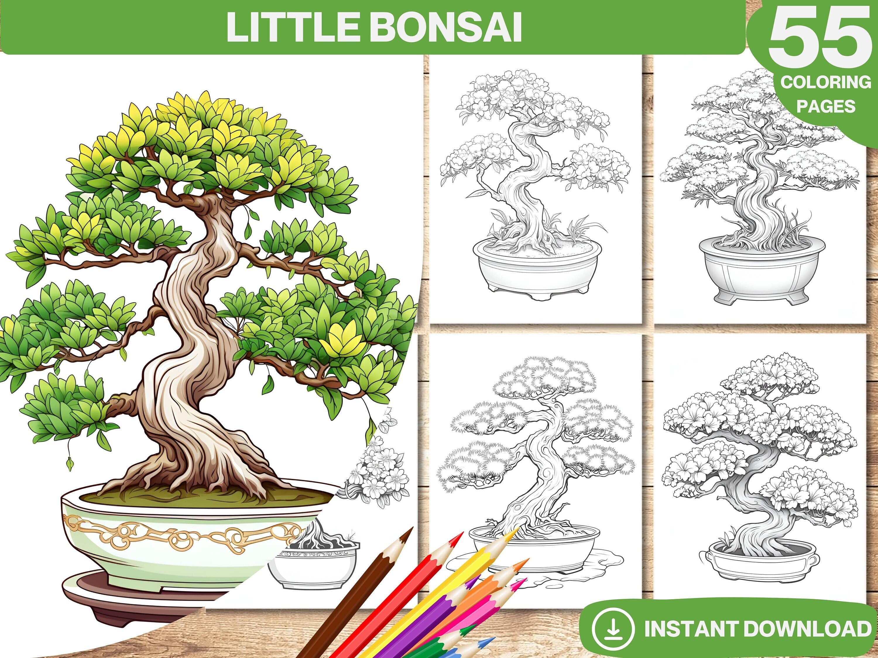 Bonsai coloring page