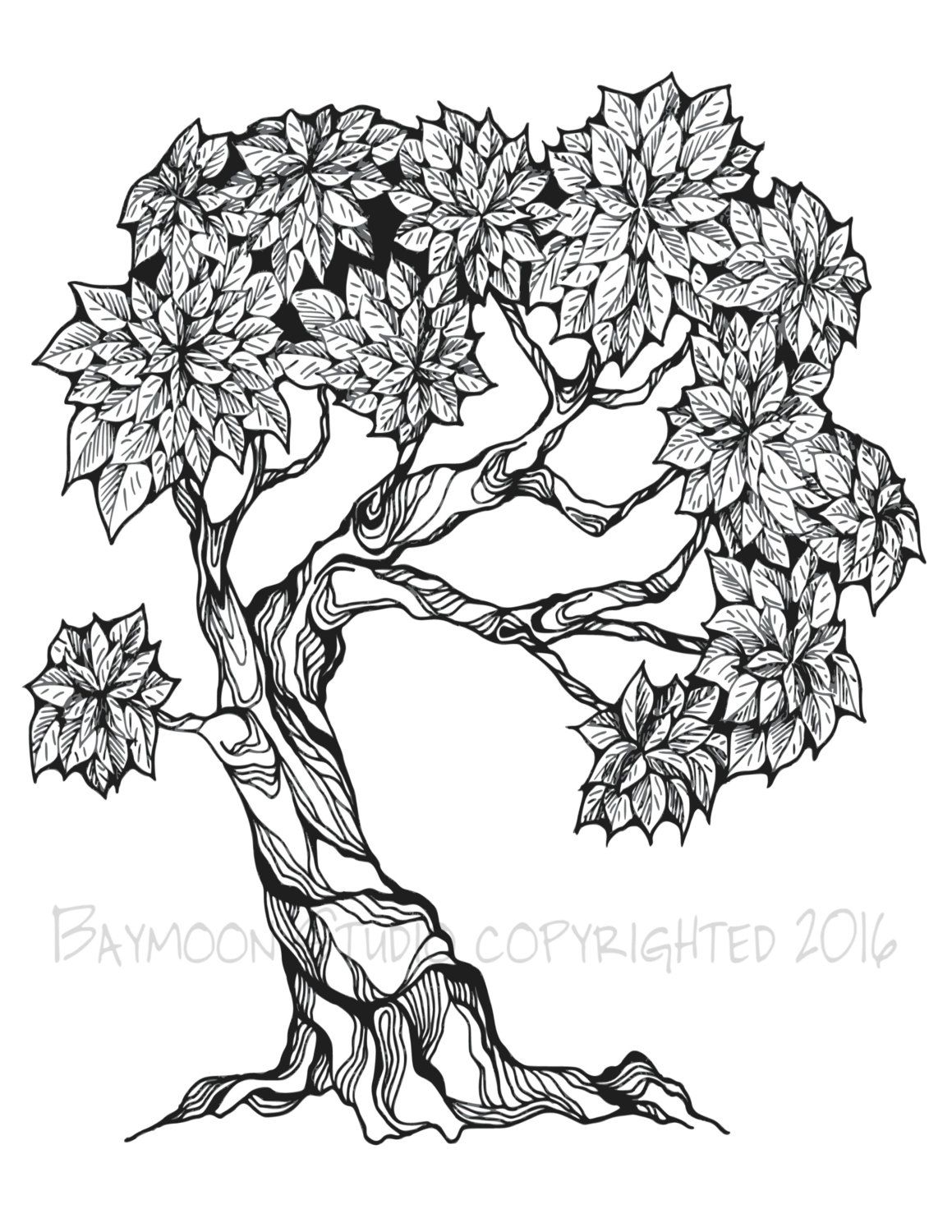 Bonsai tree coloring page printable coloring by baymoonstudio tree coloring page tree drawing colouring art therapy