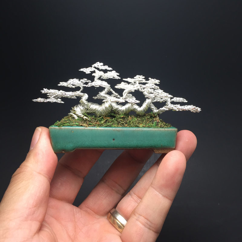 Wire bonsai sculptures