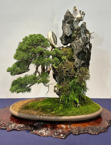 Bonsai bark â page â stone lantern