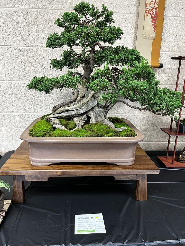The art of bonsai infrastructure planning and facilities