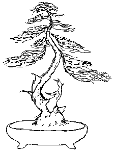 Better bonsai octopus to bonsai