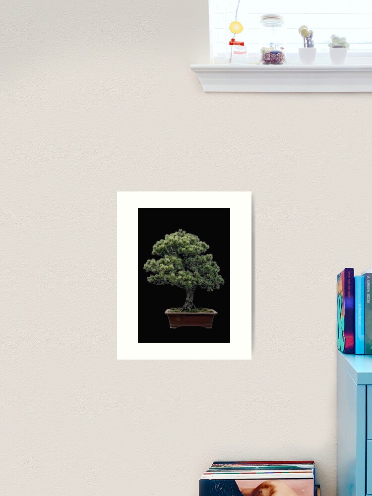 Informal upright style bonsai tree art print for sale by click