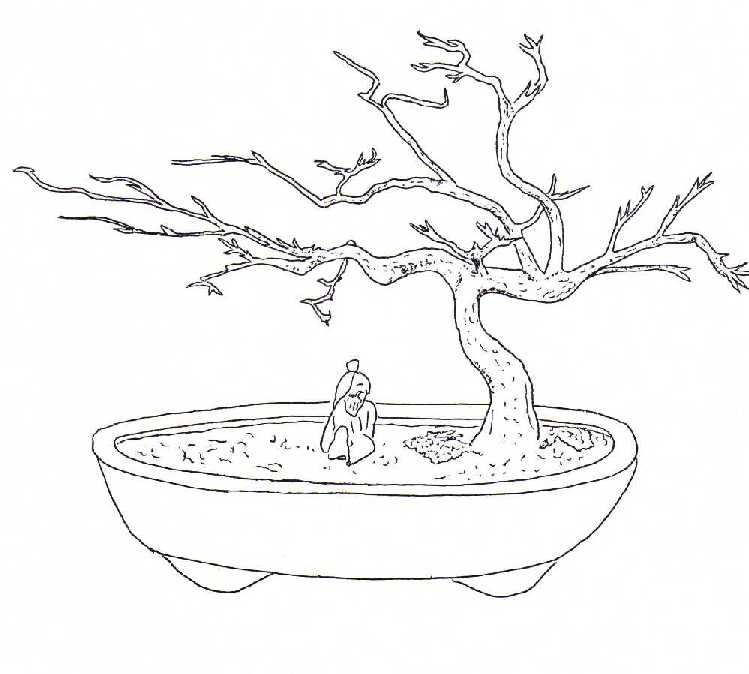 The bonsai coloring book background details and more