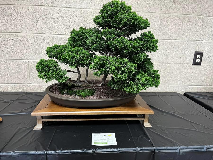 The art of bonsai infrastructure planning and facilities