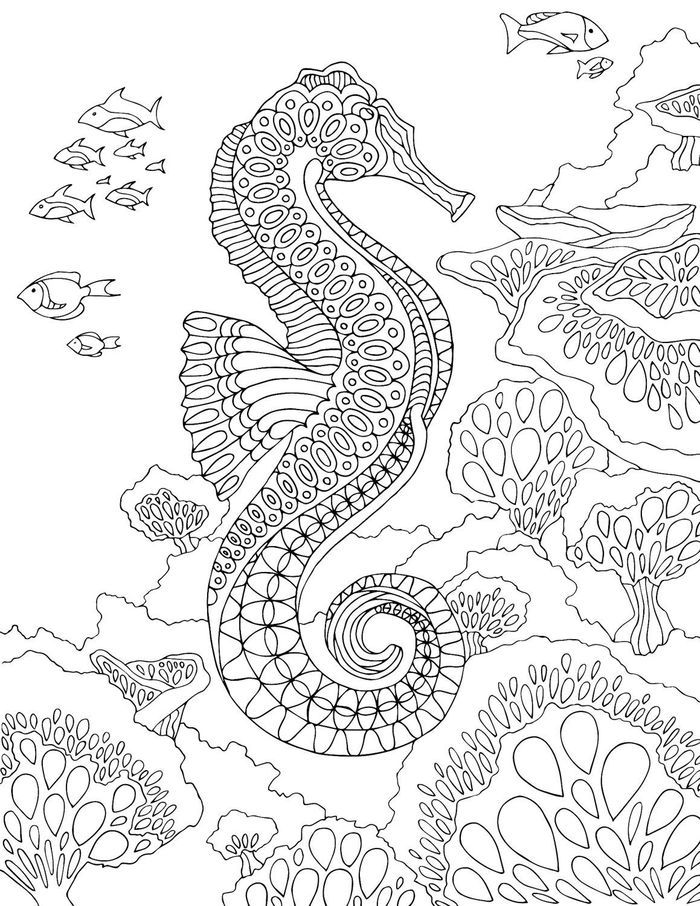 Printable seahorse coloring pages pdf horse coloring pages animal coloring pages printable adult coloring pages