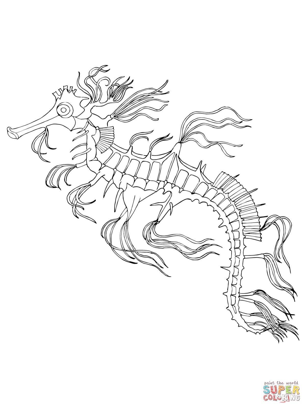 Sea horse coloring page free printable coloring pages