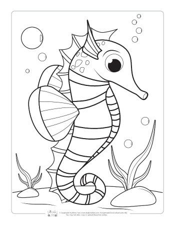 Seahorse coloring pages ideas coloring pages seahorse seahorse outline