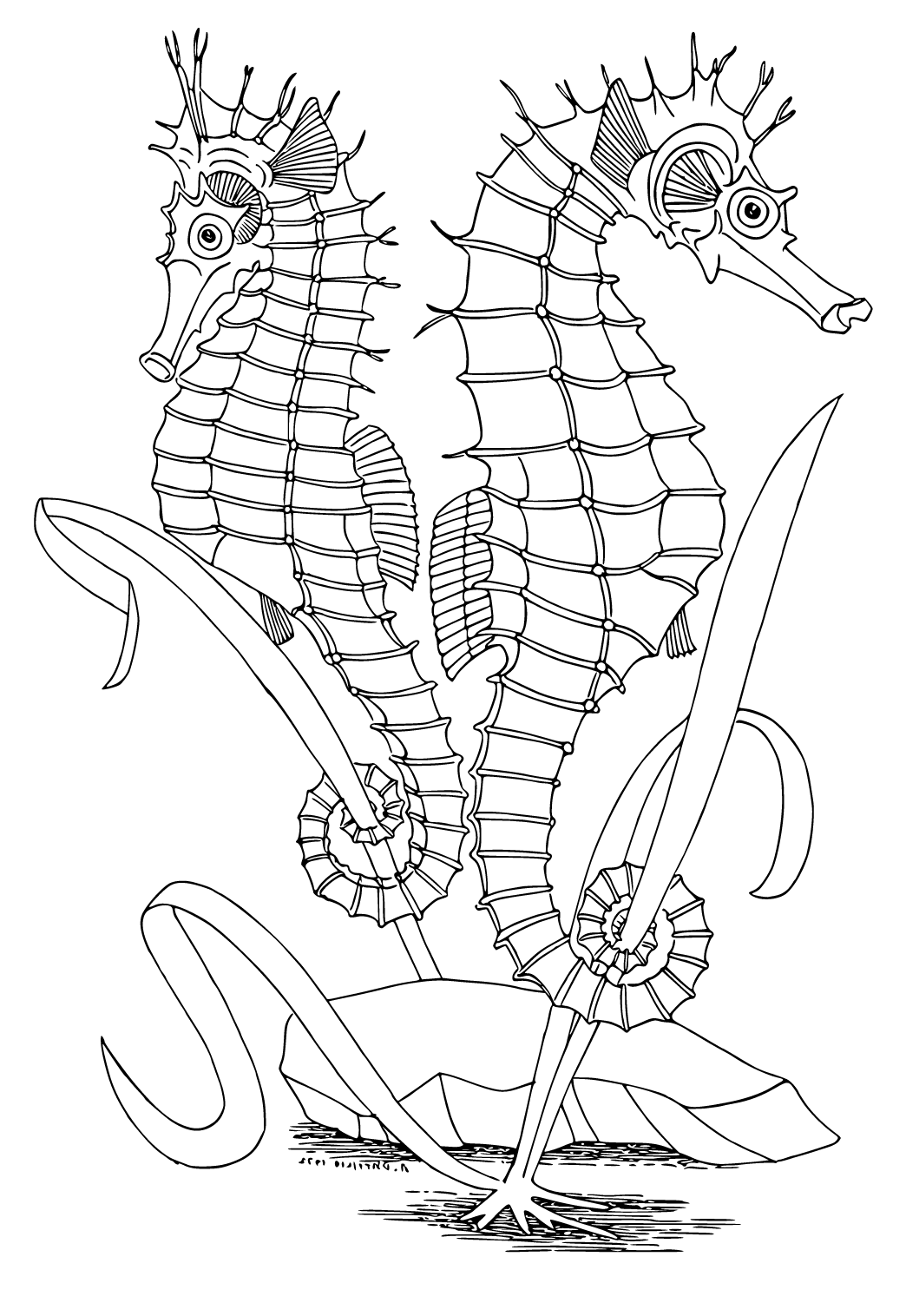 Free printable ocean sea horse coloring page for adults and kids