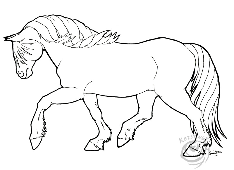 Haflinger mare coloring page by kunstfeuer
