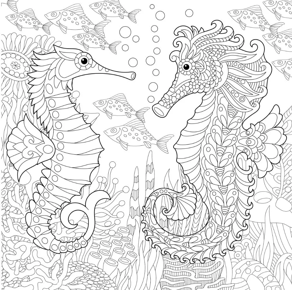 Free seahorse coloring pages for download printable pdf