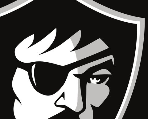 Oakland raiders rebranding book by julianna wolfe