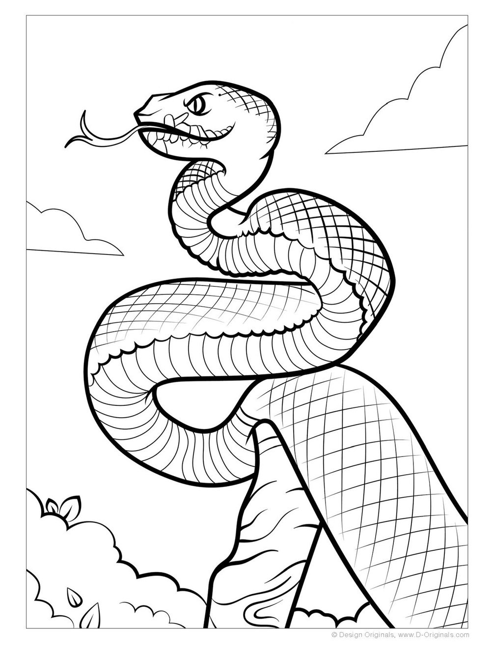 Rainforest coloring book kstr wildlife rescue
