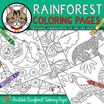 Rainforest coloring pages for preschool kindergarten first grade