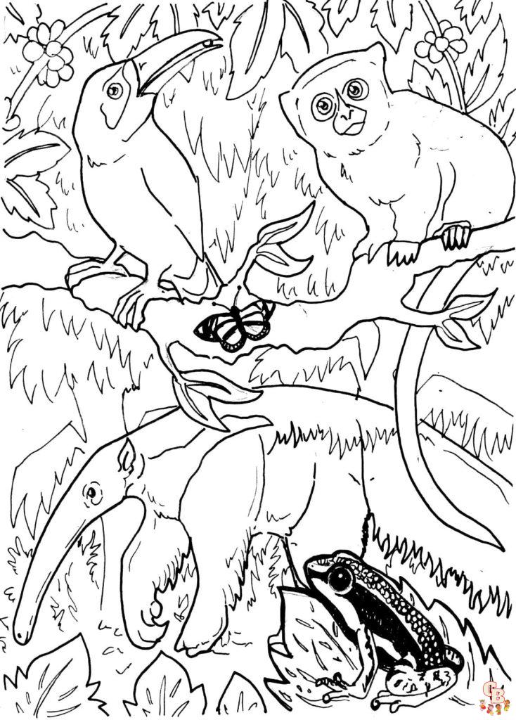 Explore the world of rainforest coloring pages