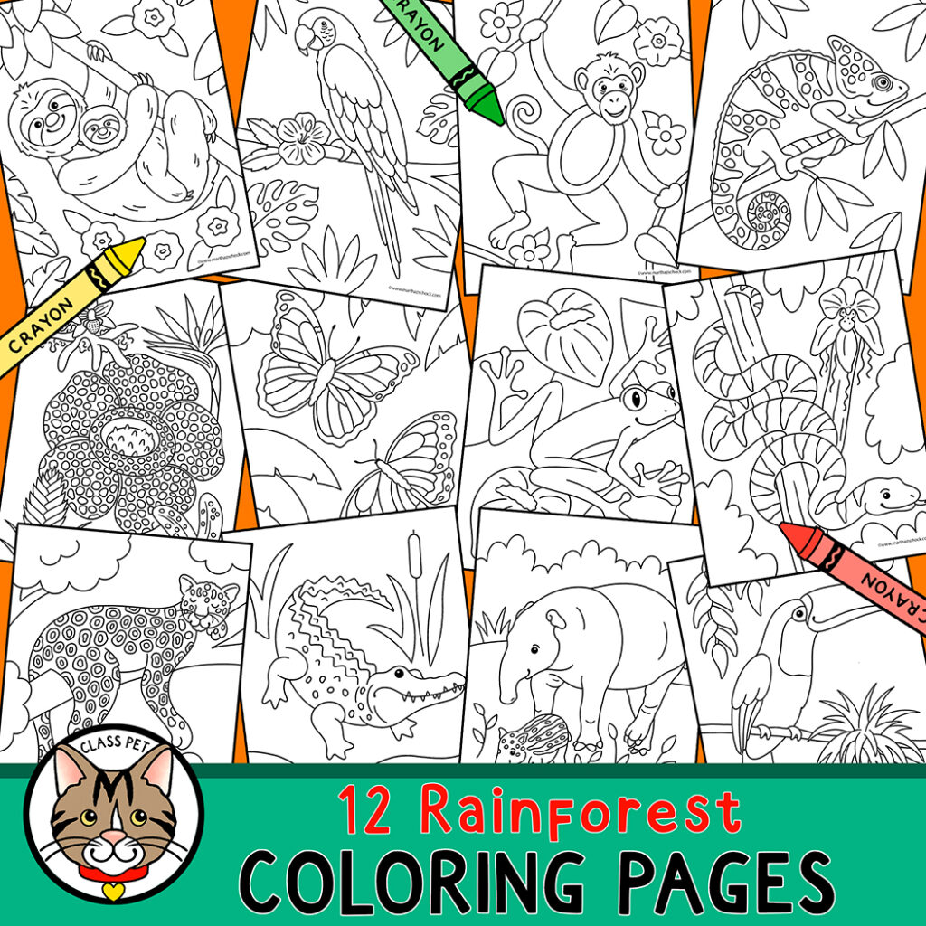 Rainforest coloring pages made by teachers