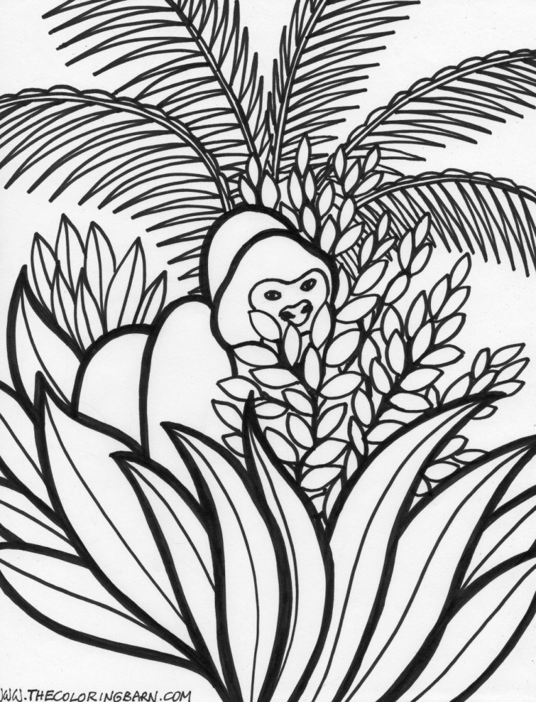 Rainforest coloring pages
