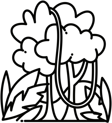Rainforest coloring page free printable coloring pages