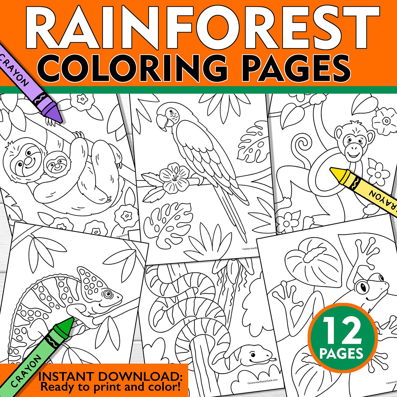 Rainforest coloring pages rainforest coloring sheets kids rainforest coloring pages kids rainforest coloring book rainforest printables