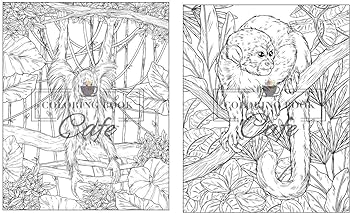 Rainforest loring book an adult loring book featuring tropical plants exotic animals and beautiful rainforest birds and flowers cafe loring book books