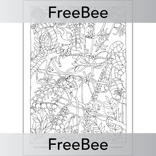 Rainforest art ks mindfulness colouring pages by
