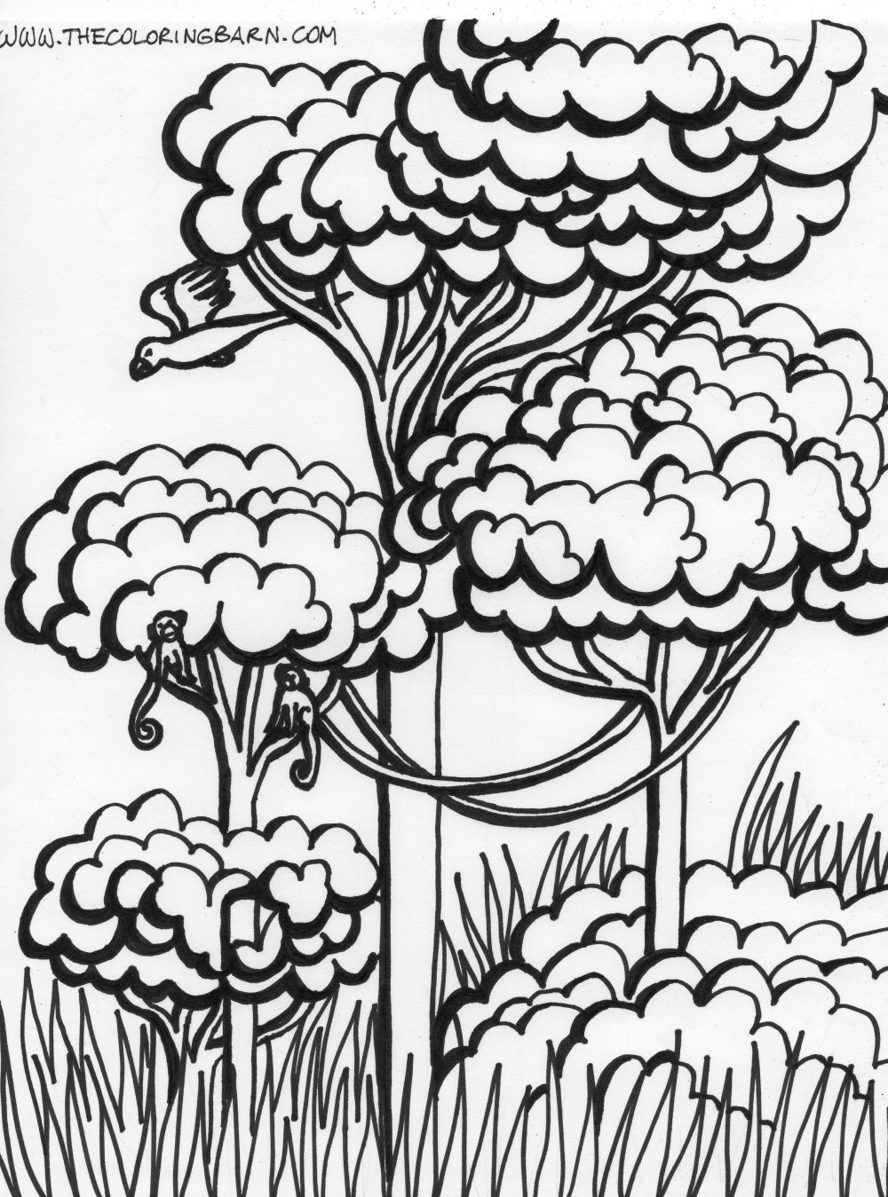 Rainforest coloring pages
