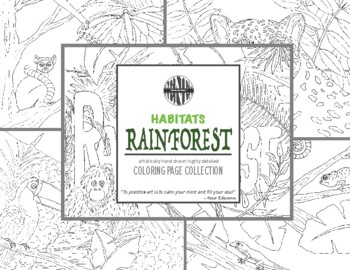 Habitats rainforest coloring page collection by edmonston studios