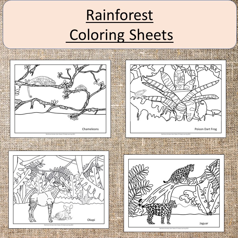 Rainforest animals coloring sheets pages art gorilla frog sloth made by teachers