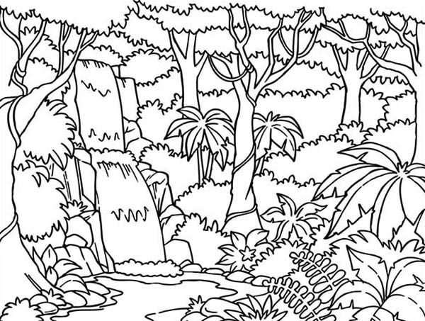 Rainforest mural selva dibujo pãginas para colorear de animales paisajes de la selva