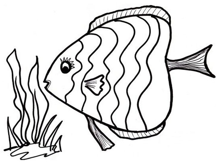Fish color pages to print activity shelter fish coloring page animal coloring pages rainbow fish coloring page