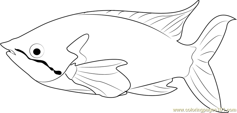 Rainbow fish coloring page for kids