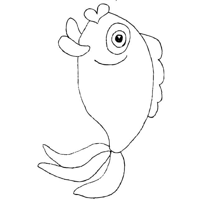 Fish s