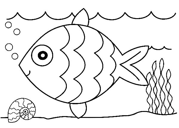 Rainbow fish coloring pages