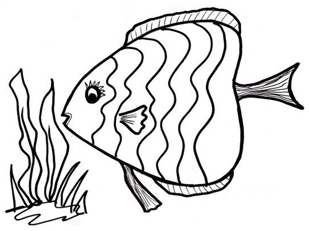 Fish coloring page printable activity shelter