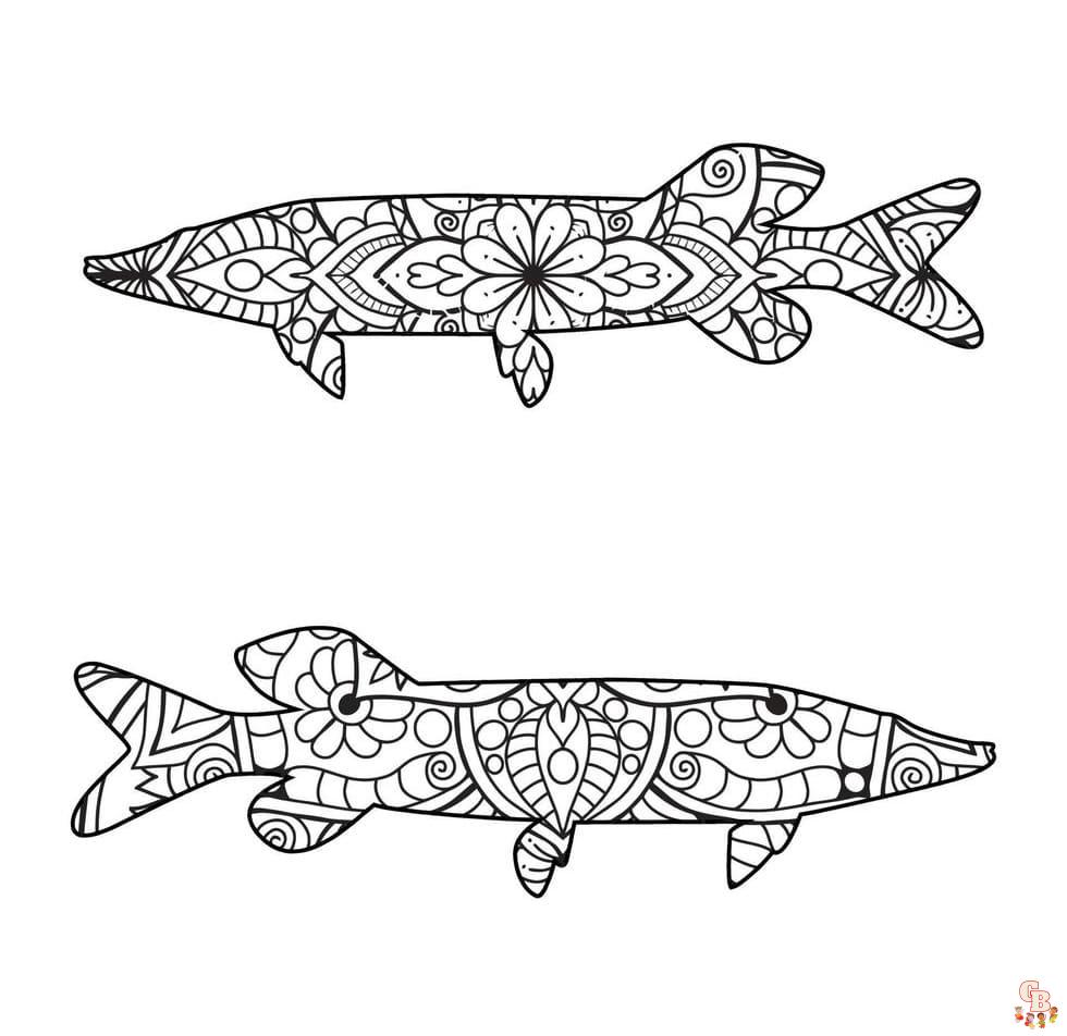 Printable trout coloring pages free for kids and adults