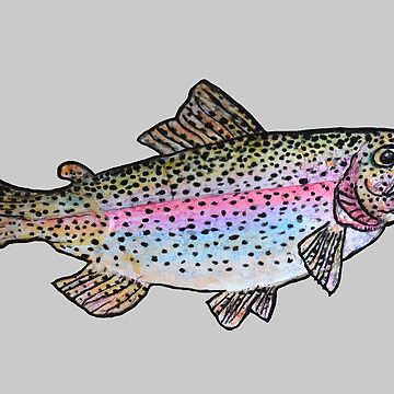 Rainbow trout fish art in light grey art board print for sale by michelebuttons