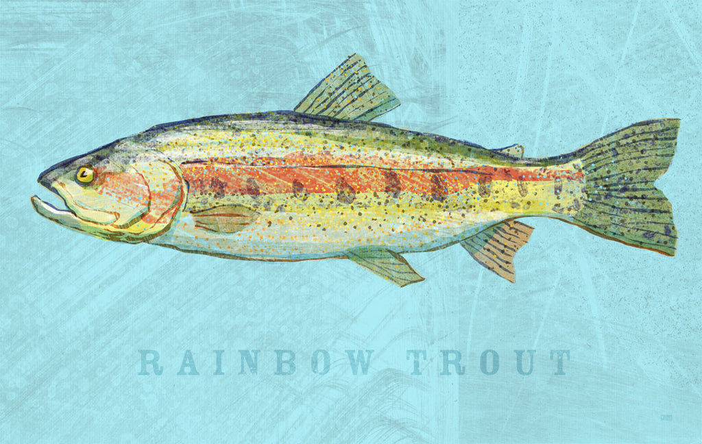 Rainbow trout mcgaw graphics