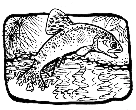 Salmon and trout â the coastal prairie connection â california coastal prairie