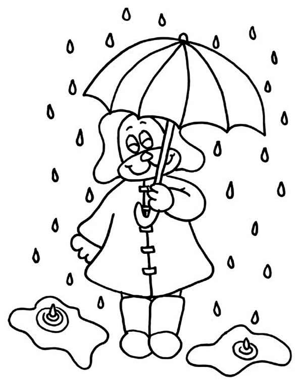 Little puppy under raindrop with umbrella coloring page color luna