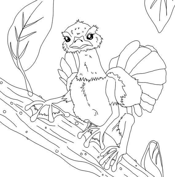 Buy small rainforest creature animal hybrid downloadable coloring online in india