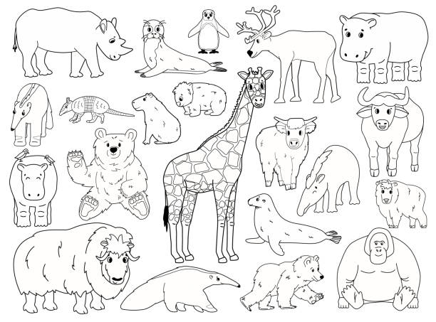 Animal illustration and painting tropical rainforest line art stock illustrations royalty