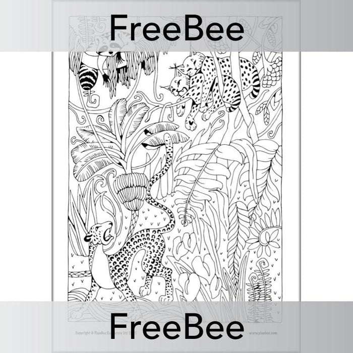 Rainforest art ks mindfulness colouring pages by