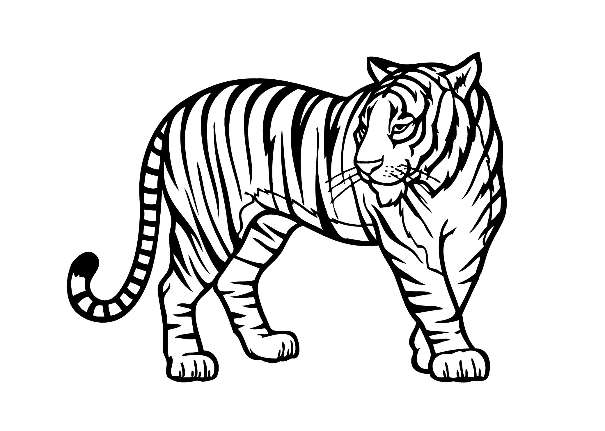 Rainforest animals colouring pages