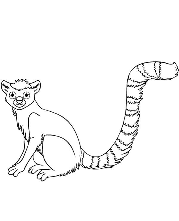 Realistic lemur coloring page to print