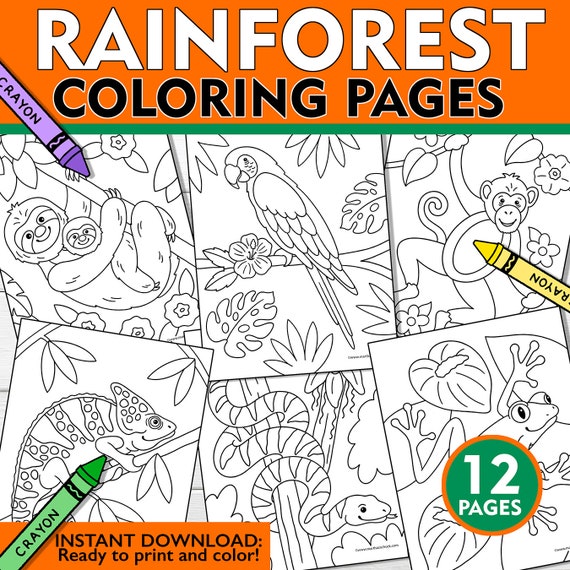 Rainforest coloring pages rainforest coloring sheets kids rainforest coloring pages kids rainforest coloring book rainforest printables