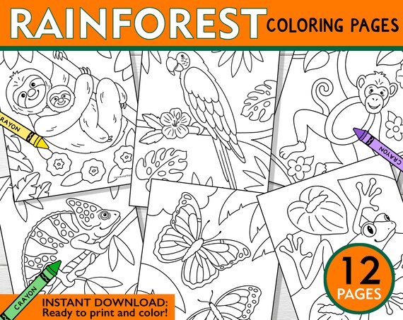 Rainforest coloring pages rainforest coloring sheets kids rainforest coloring pages kids rainforest coloring book rainforest printables