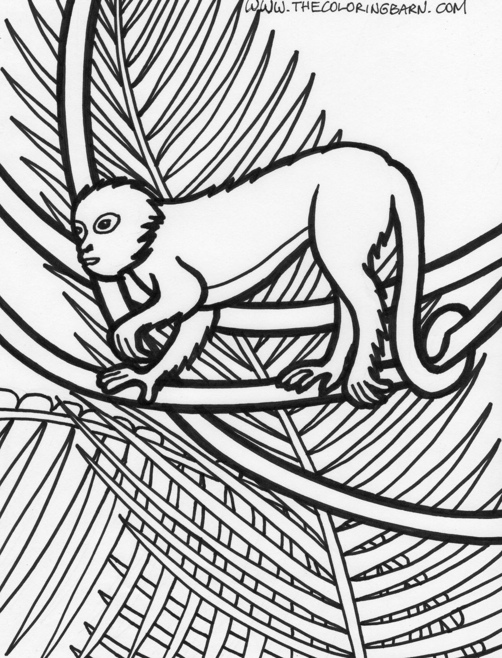 Rainforest coloring pages
