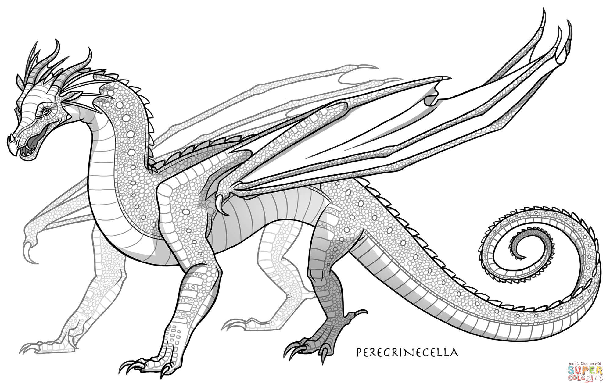 Rainwing dragon coloring page free printable coloring pages