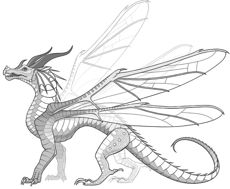 Hivewing rainwing hybrid by drachenhybride on deviantart wings of fire dragons wings of fire dragon coloring page